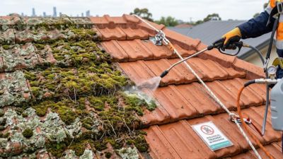 Roof moss removal Melbourne
